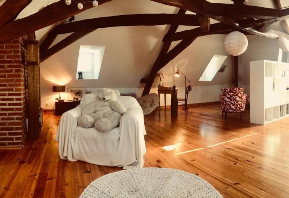 Superbe Maison De Caractere, De 1 A 9 Couchages Сент-Мор-де-Турен Екстер'єр фото